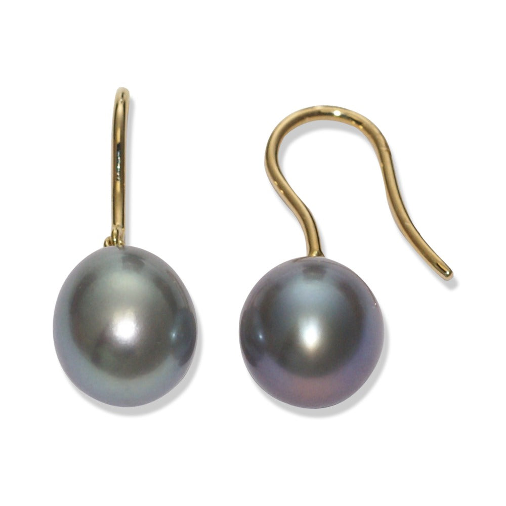 556373 main