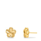Pendientes Plata Amarillo Dorado Flor Ø10 mm