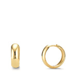 Aro con bisagra Plata Amarillo Dorado