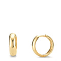 Aro con bisagra Plata Amarillo Dorado