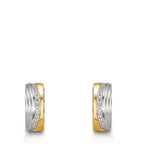 Aro con bisagra Acero inoxidable Circonita blanco, 24 piedras Bicolor Recubierto de IP