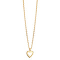 Collar Oro amarillo de 375/9K Corazón 38-42 cm
