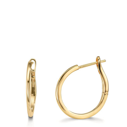 Aro con bisagra Oro amarillo de 375/9K