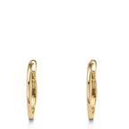 Aro con bisagra Oro amarillo de 375/9K