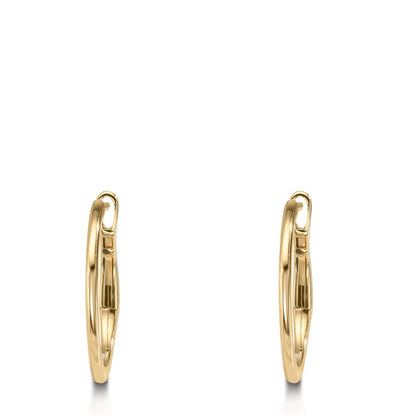 Aro con bisagra Oro amarillo de 375/9K