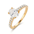 613567 main