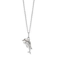 Collar con colgante Plata delfín 38-40 cm-555822