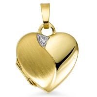 Medallón Oro amarillo de 375/9K, Oro blanco de 375/9 quilates Corazón-560059
